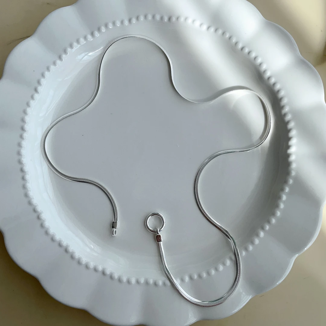 链子925银 S925纯银韩版小众设计感蛇骨项链简约复古款锁骨链