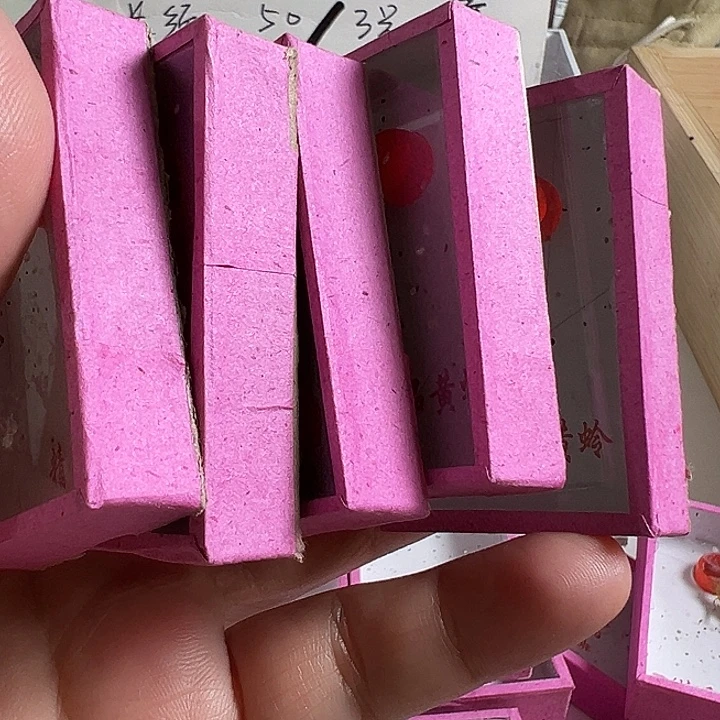 短须金龄子5只好可爱
