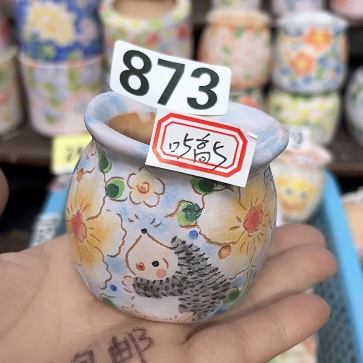 红陶满48包邮多肉花盆