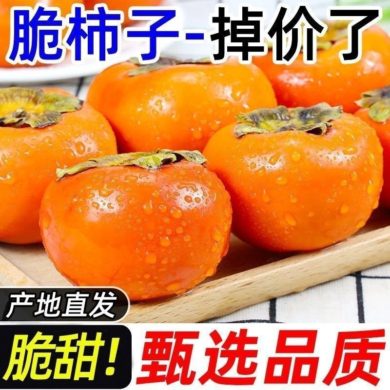 山西运城阳丰甜柿脆柿子产地直发巧克力甜脆柿新鲜当季脆甜多汁