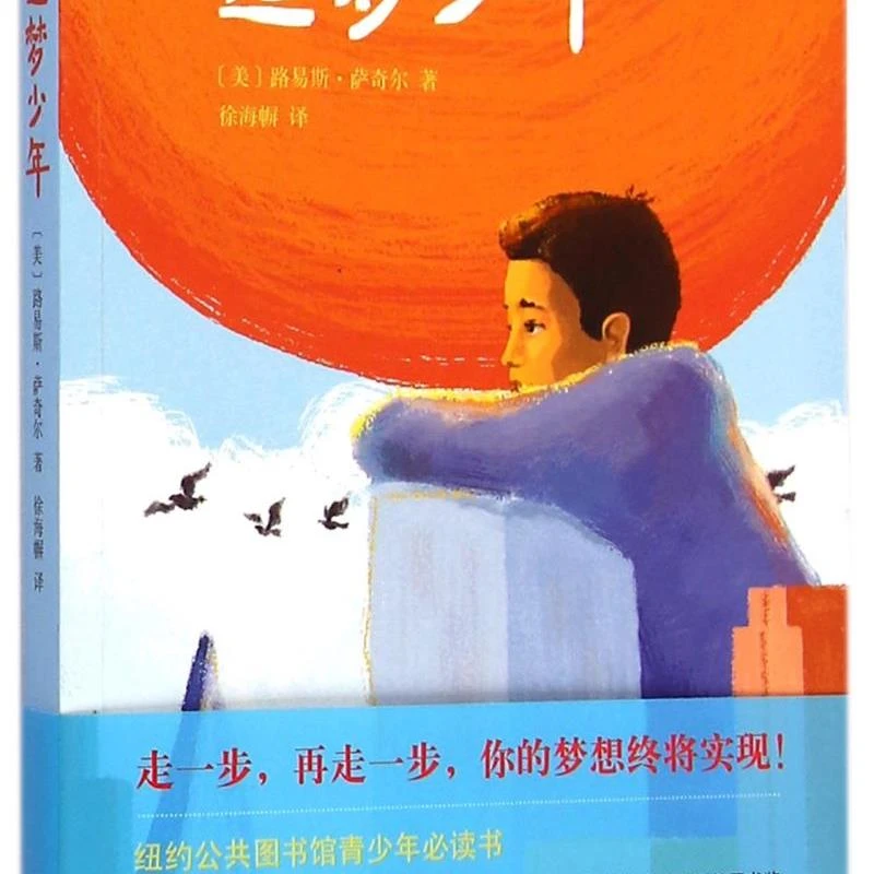 追梦少年 新华书店正版