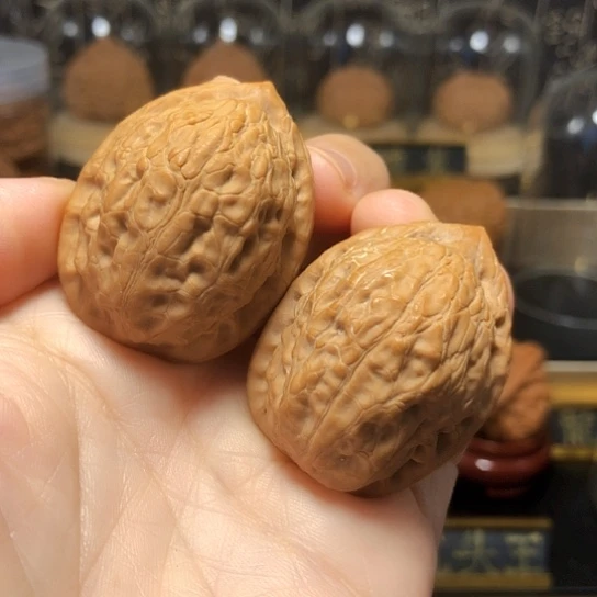 精品：野生平谷舍利