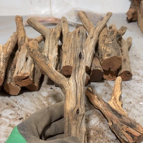 大果紫檀（缅甸花梨）張**!