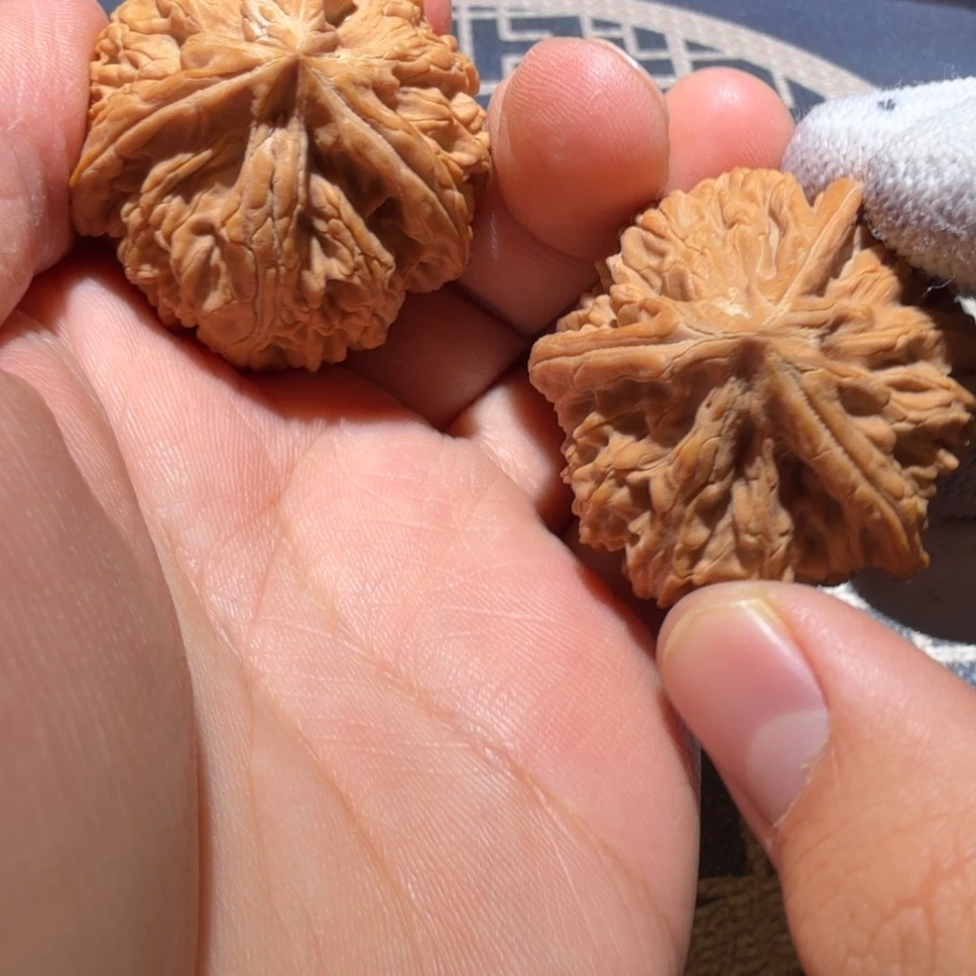 把件文玩核桃御龙正奔