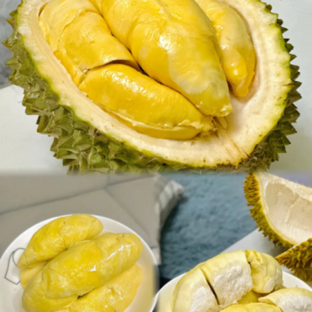 【越南干尧榴莲】（一物一拍）鲜榴莲核大G干尧越南