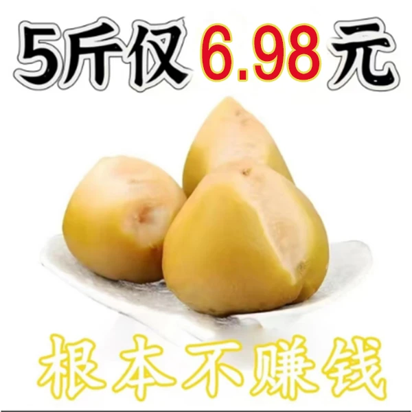 【到手 五斤】芥菜疙瘩芥菜头芥菜丝东北特产小咸菜下饭菜5斤jj