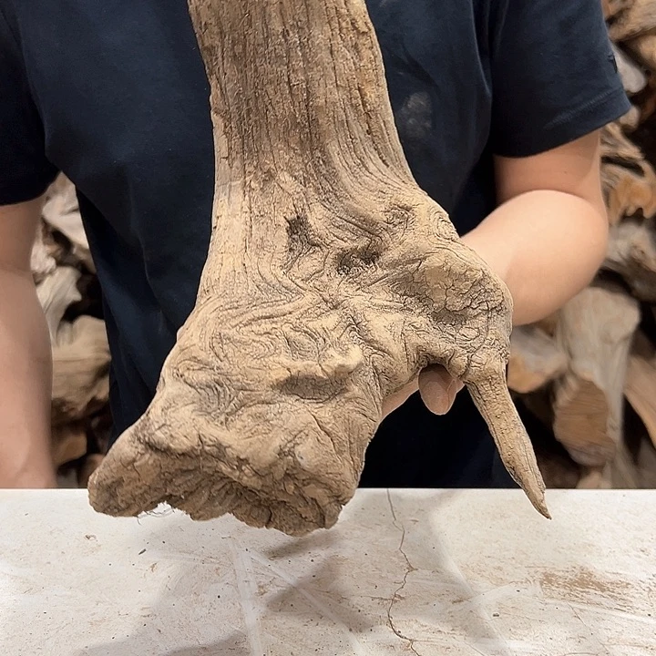 柏木小**艺我们的生活也是如此的丰富