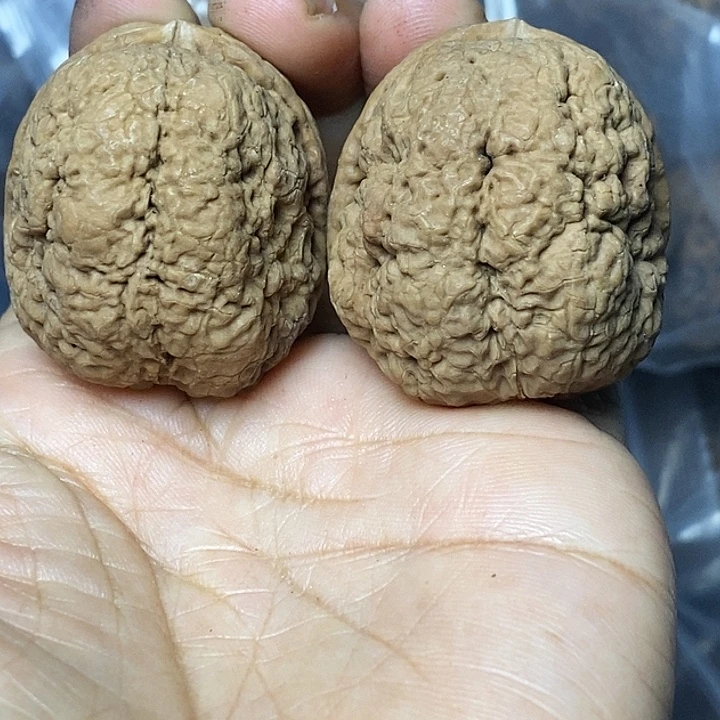 把件文玩核桃云南铁核桃84