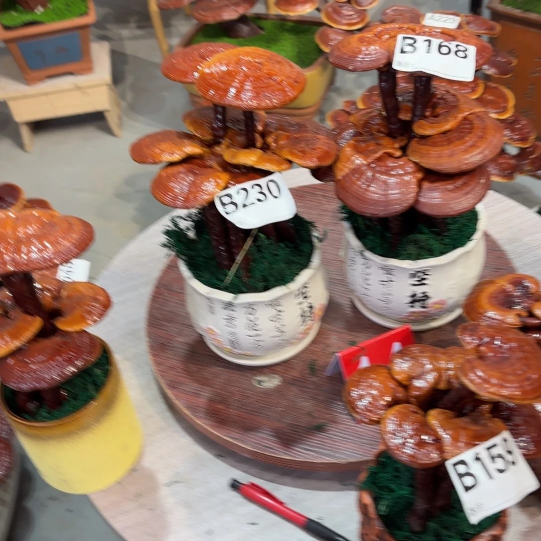 幸***星灵芝888888888888888