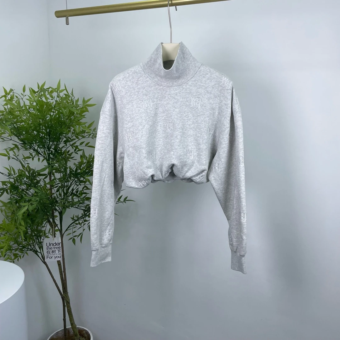 99新  Alexander Wang 亚历山大王 刺绣卫衣 XS码/98新/无配件