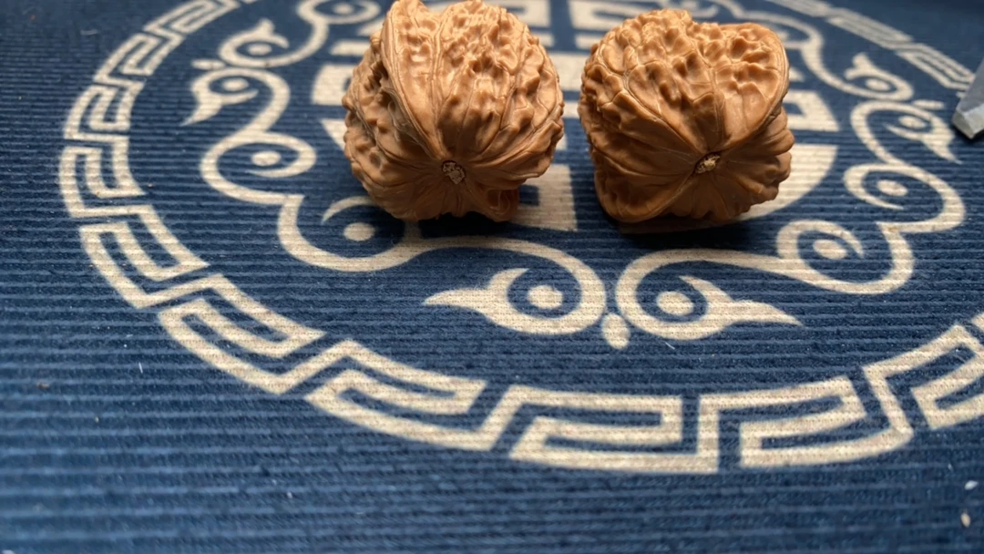 原装不打药山地磨（36尺）