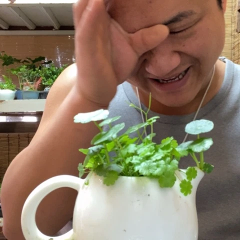 红陶甜**一物一拍所见即所得99