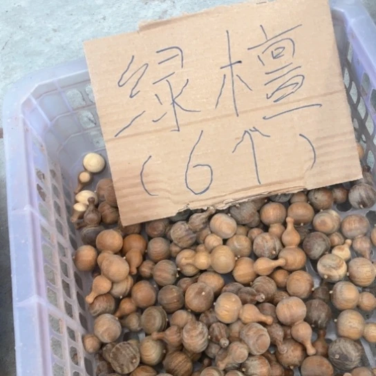 非洲紫檀（红花梨）