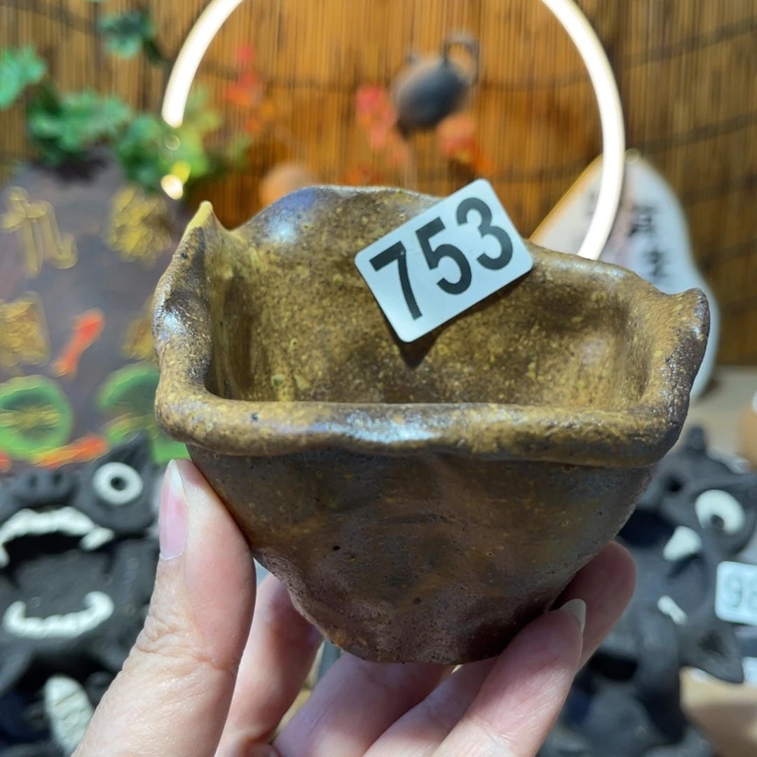 木村信弘柴烧保平