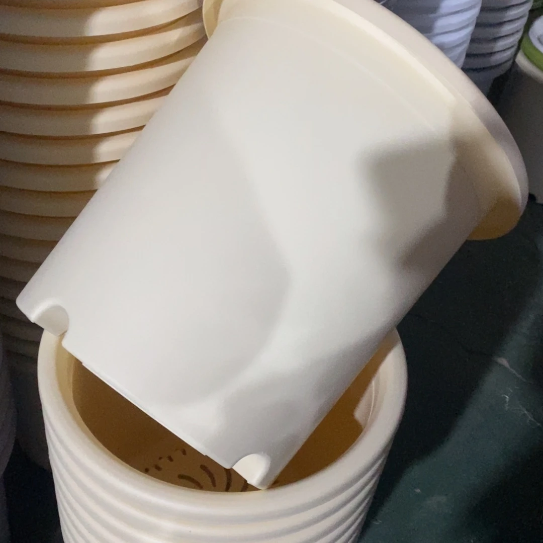 四季8#无拖米黄5个