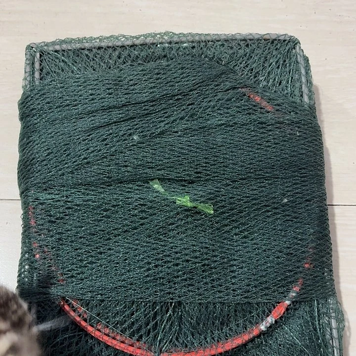 地龙一单一个一单