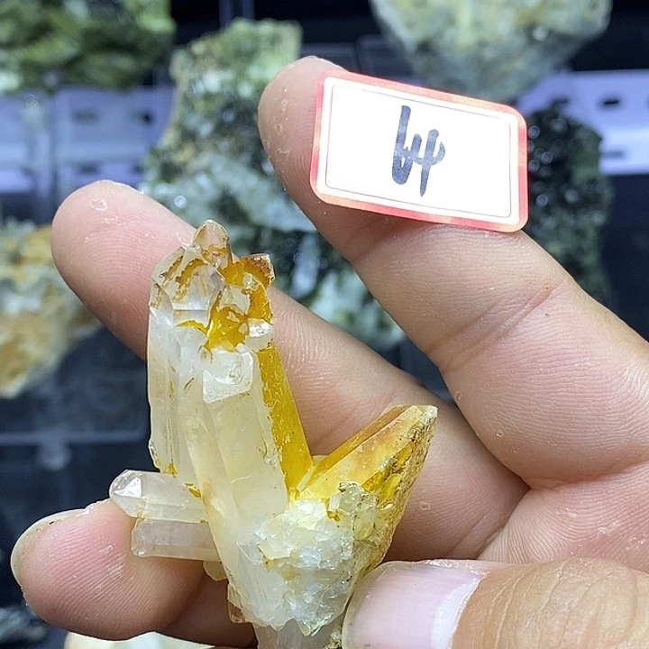 有机玻璃福利喜马64