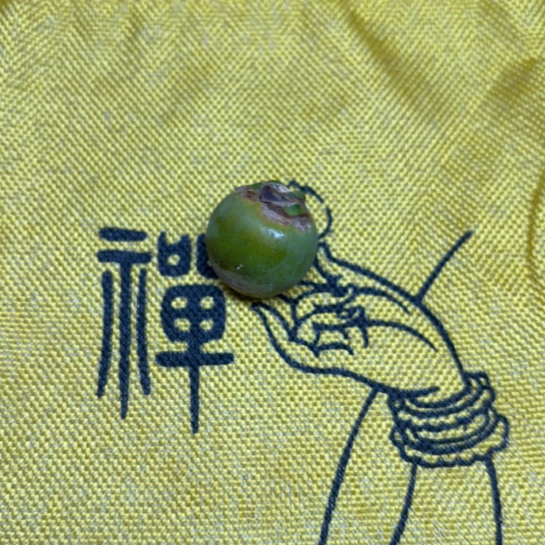 原生态棕树籽招财猫前鼠后猫手持卡15加