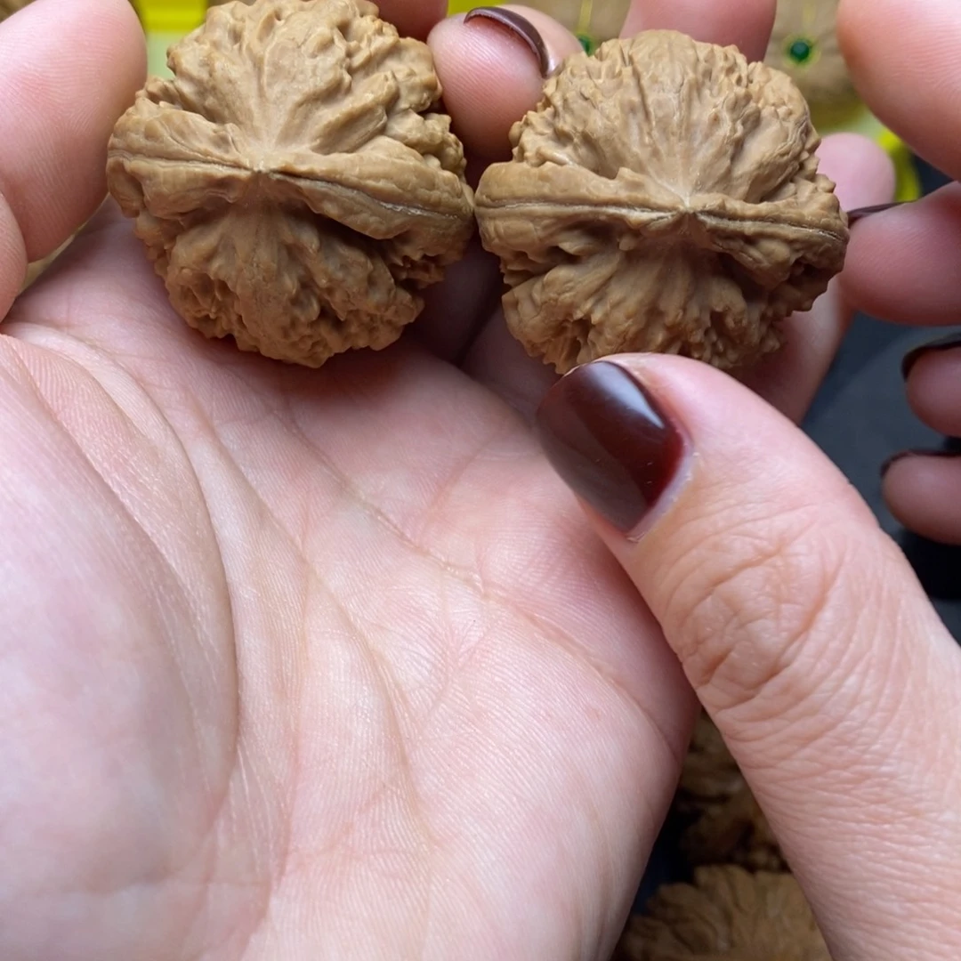 手串/手链核桃霸王龙39尺