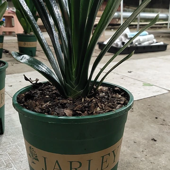 完全开放1111111111