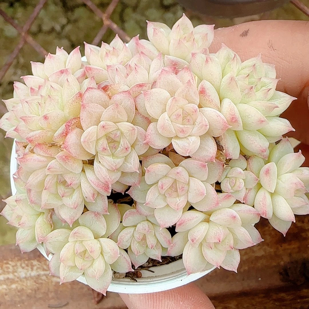 1120-54（ppt-36）优选