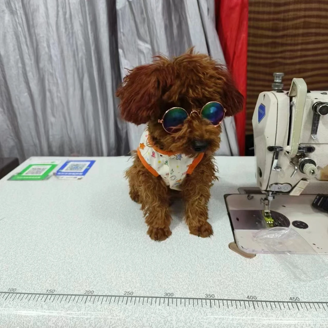 狗狗冬季棉服特体款