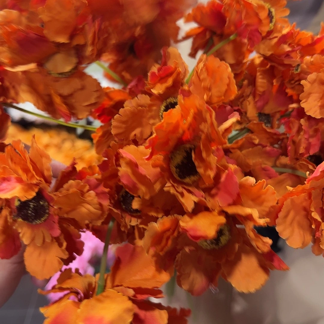 663号橘色太阳花25支