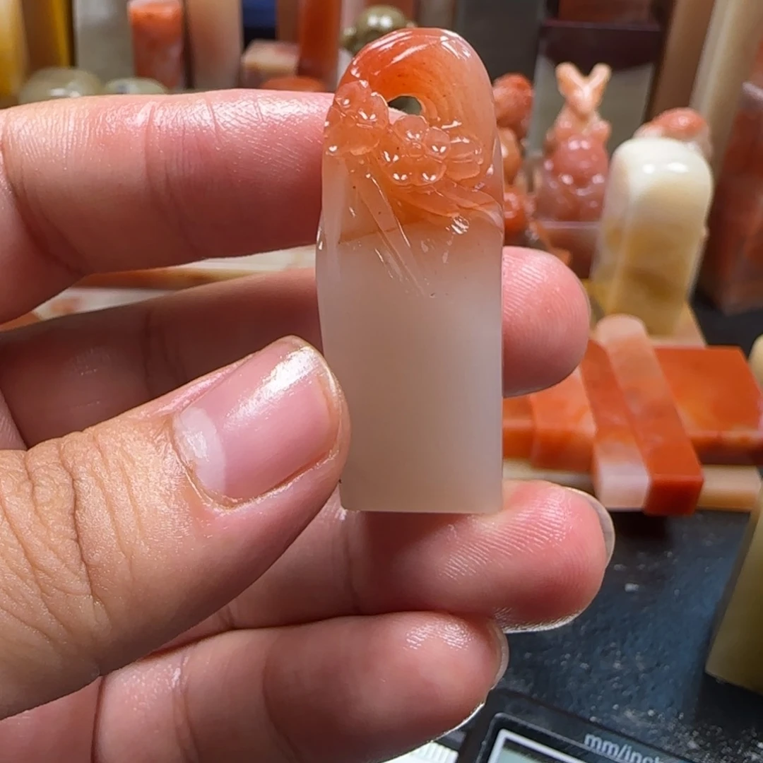 老挝石梅花