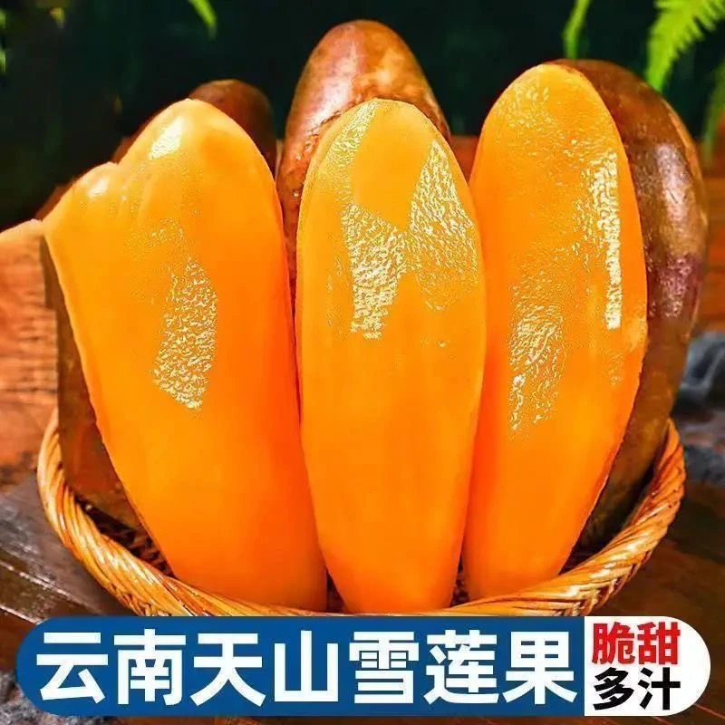 云南天山雪莲果脆甜多汁新鲜水果纯甜无酸香甜可口带箱10斤