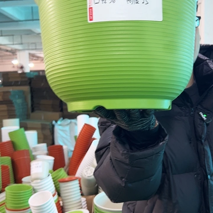 正品矮陶口36高25果绿无托3只