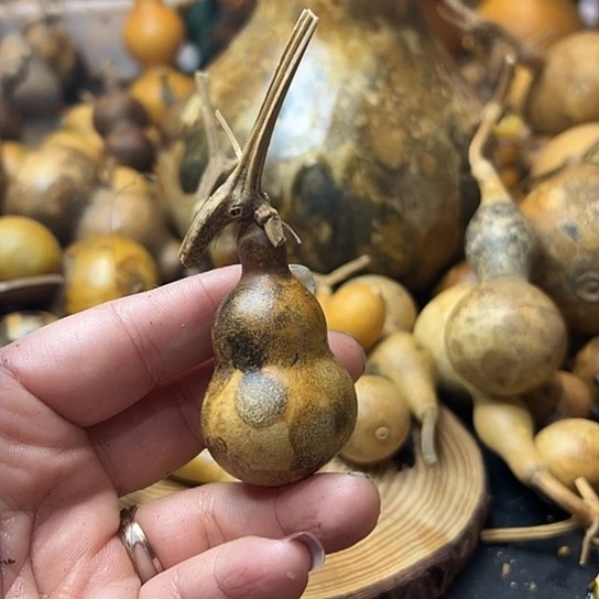 尼*丁葫芦葫芦葫芦葫芦