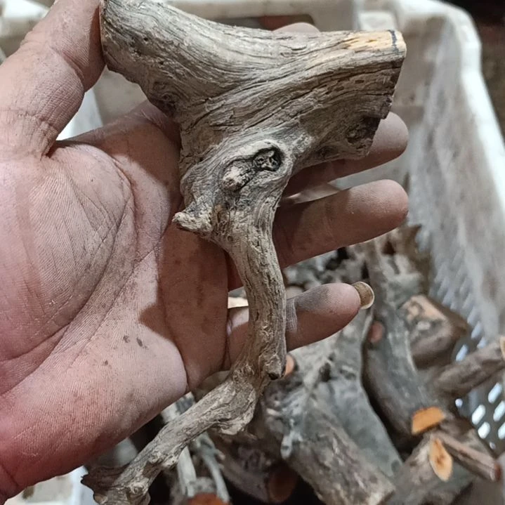 洪***公柏木崖柏原叉崖柏原叉