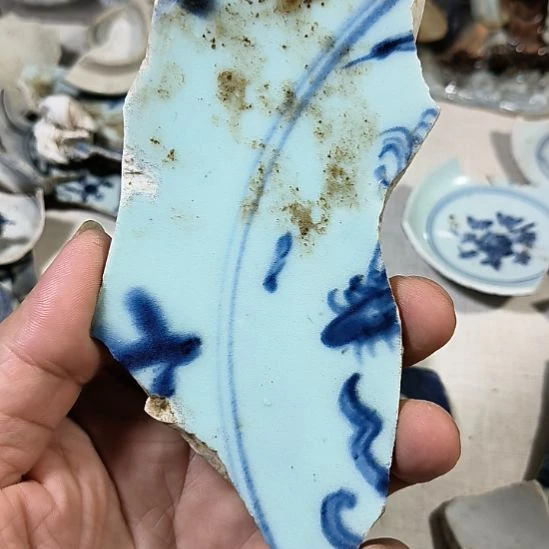 瓷片瓷片瓷片瓷片瓷片
