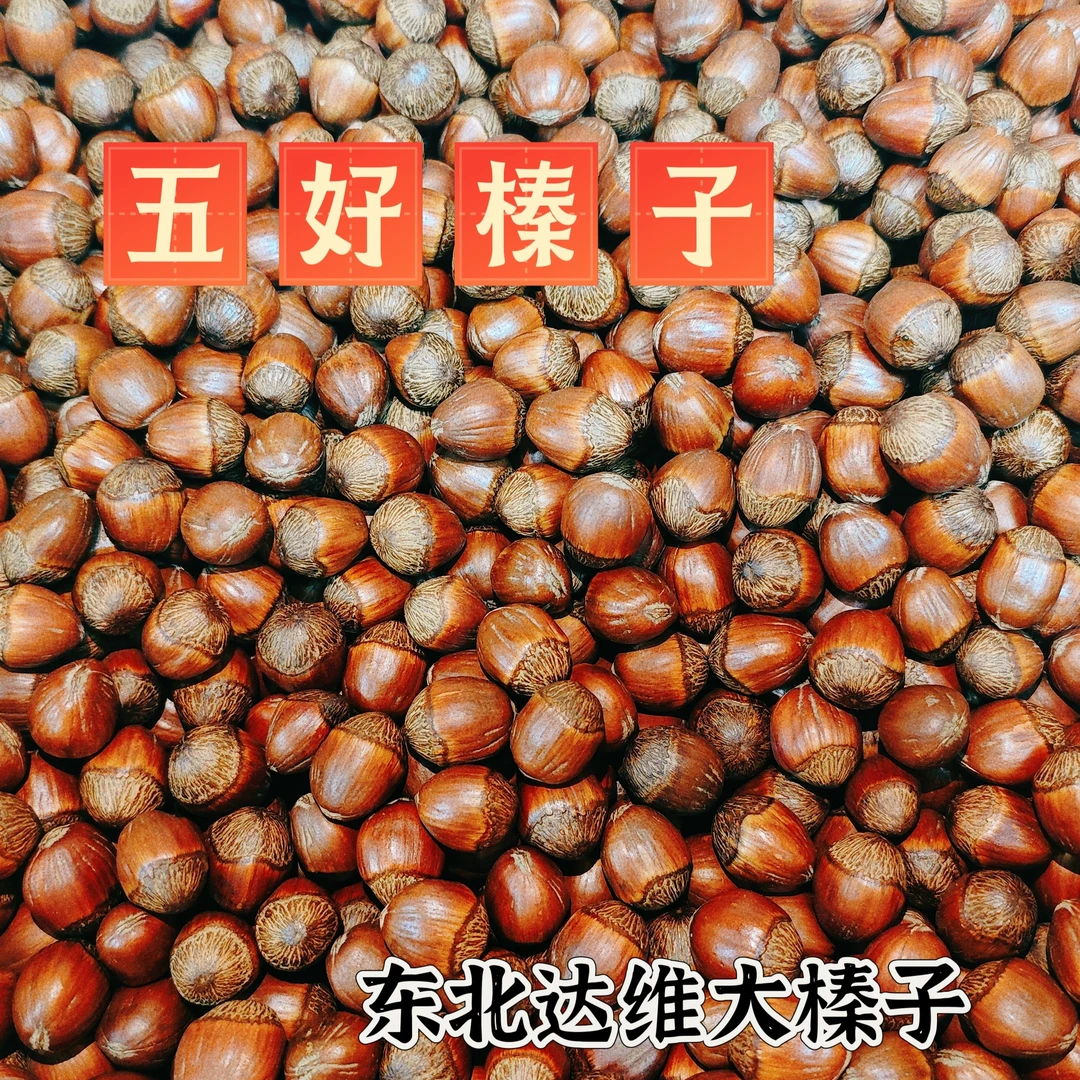 【五好榛子混合】东北野生山榛子大号颗粒混合达维