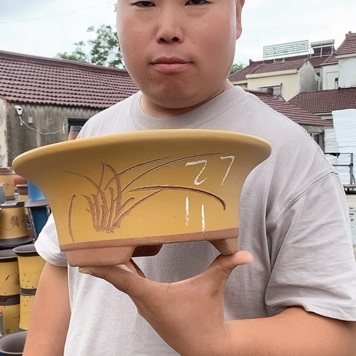 紫砂花盆盆栽观赏植物花卉