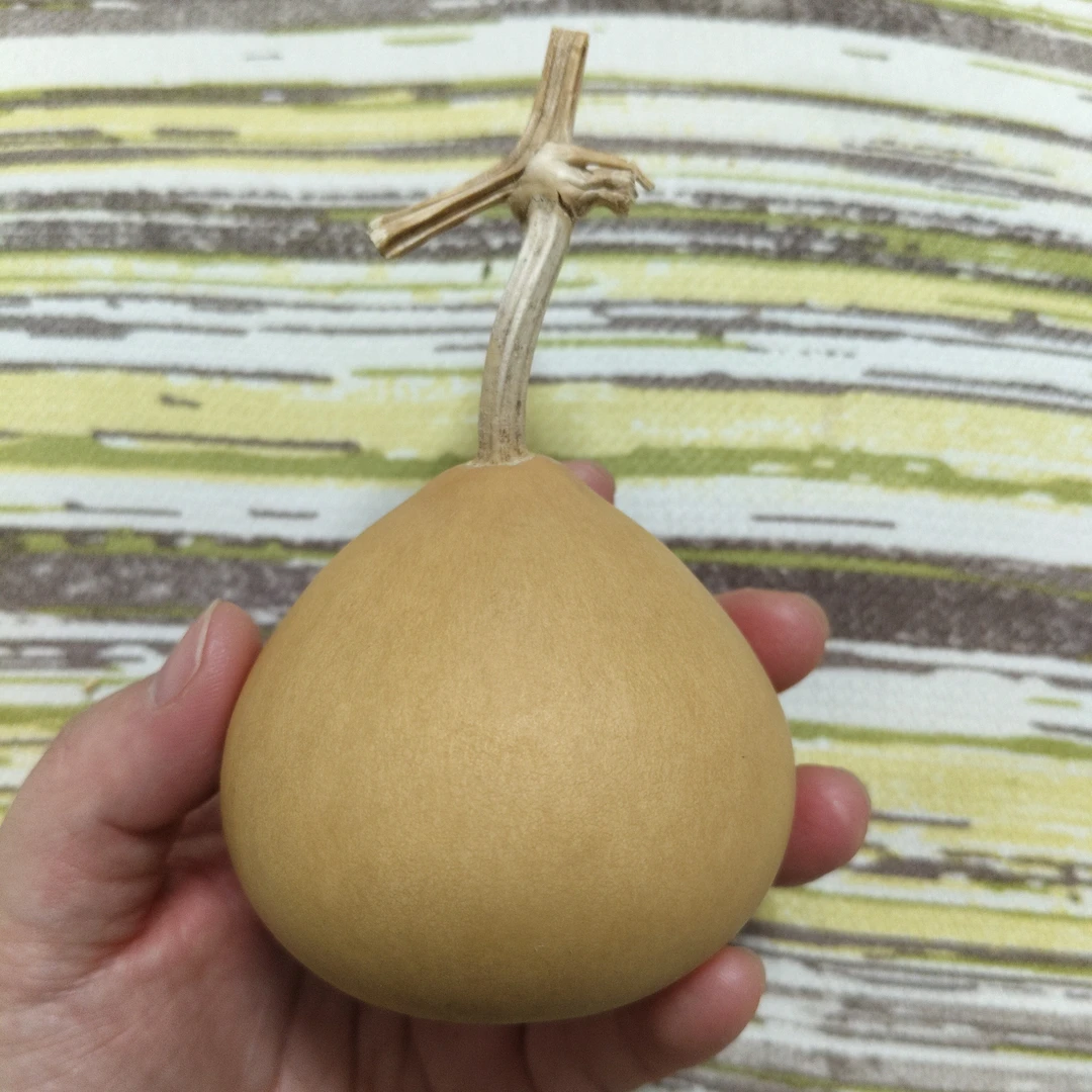 实物实拍天然梨型葫芦稳坐手把件文玩盘玩带底座福禄葫芦