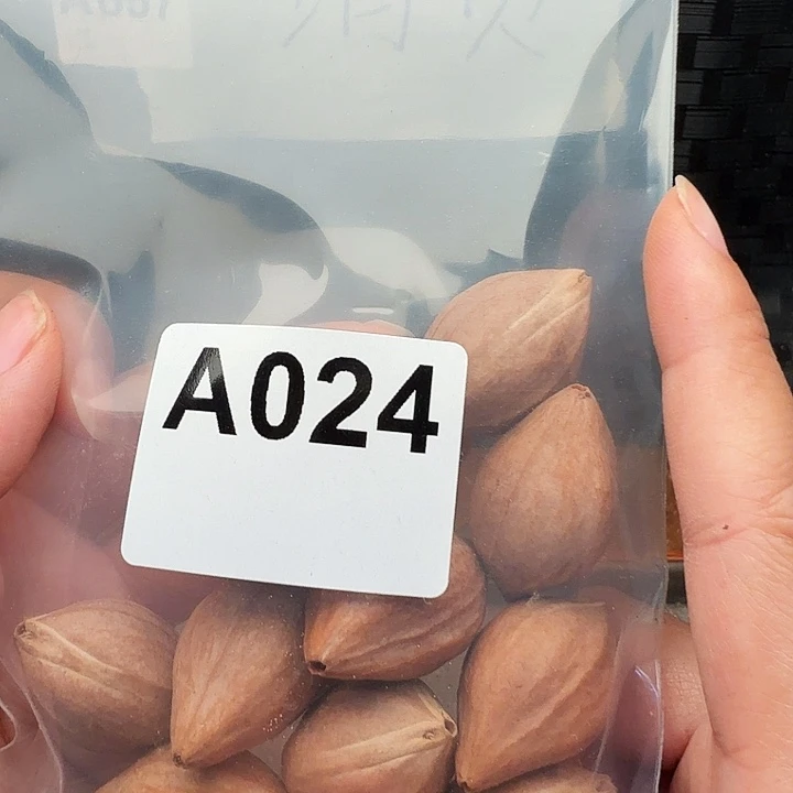 下***见手串/手链橄榄核橄榄