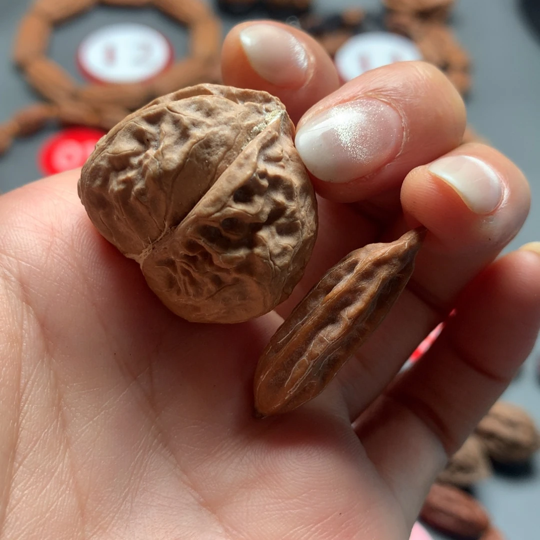 核桃27东北秋子生命缘