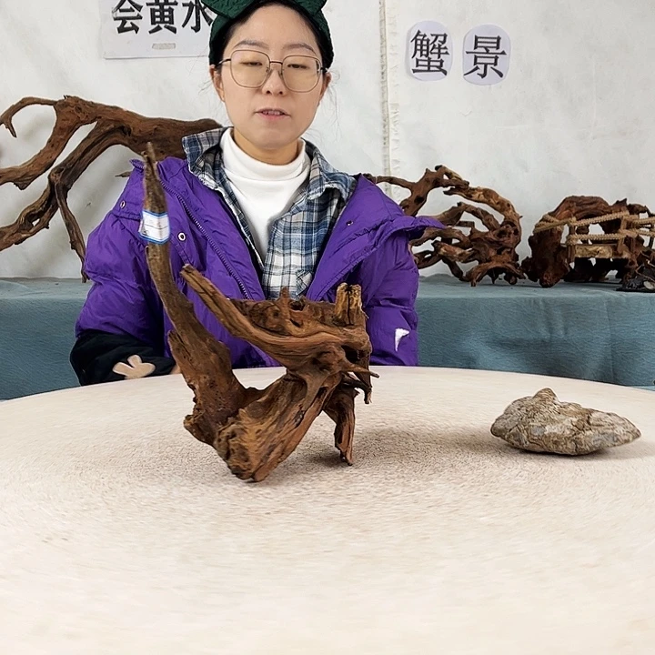 沉木造景爬宠造景