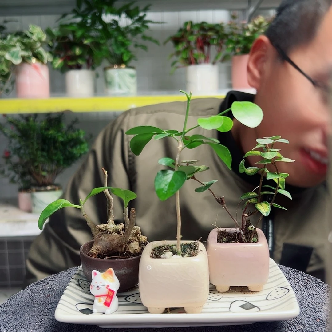 老***影无花朵52