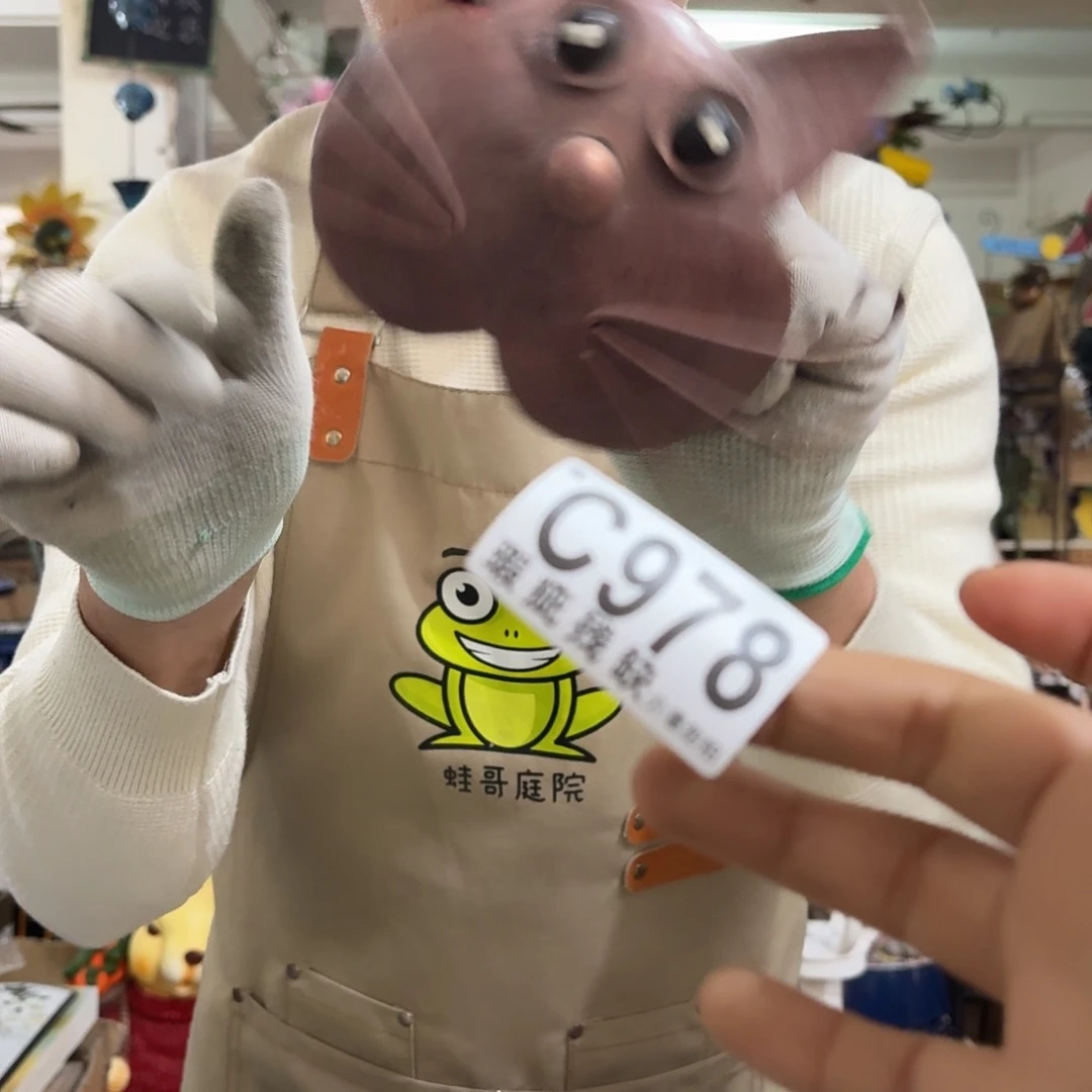 核桃木/黑胡桃（胡桃木）