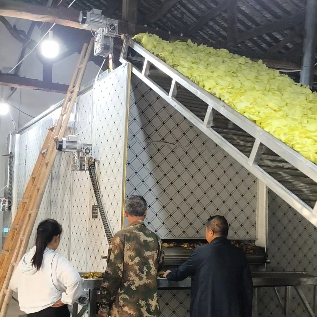 连续链条网带烘干机