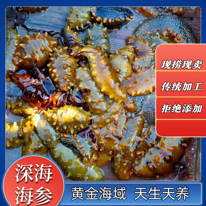 【长海县大长山岛】 活参50斤-100斤现场加工 顺丰包邮鲜活