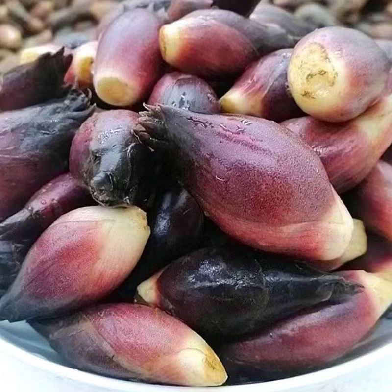 绿葱坡新鲜阳荷笋洋合盐荷