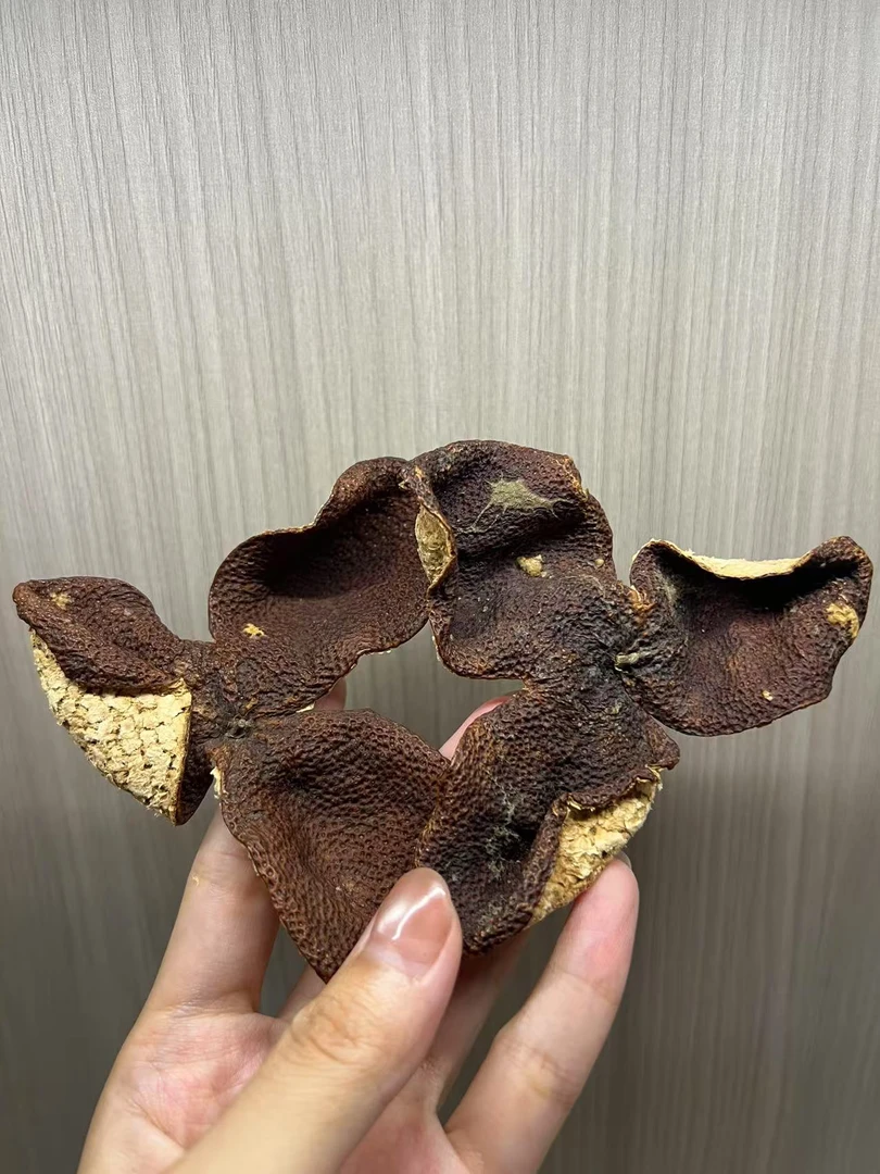 （收藏级）2018年西甲圈枝庄口皮