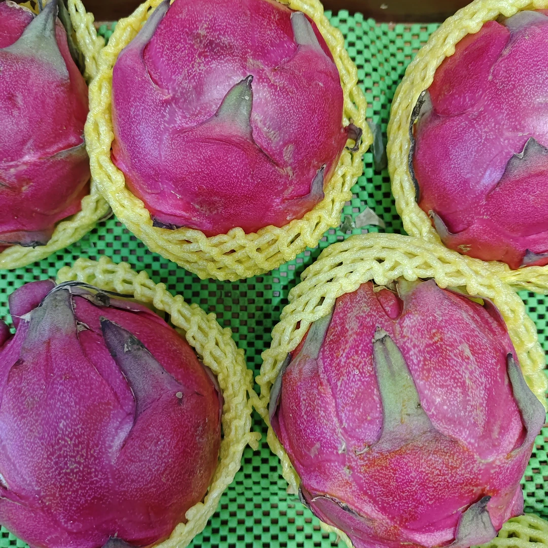 红心火龙果 2斤左右