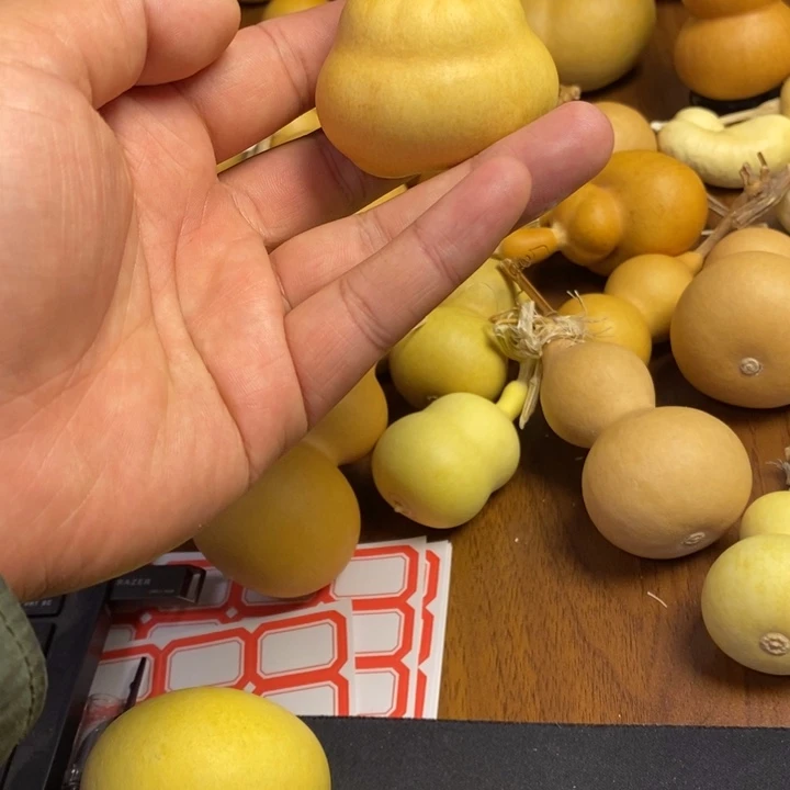 栀***栀木一物一拍，偏远地区不包邮