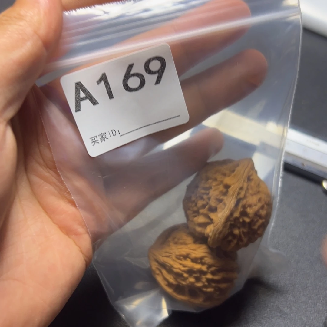 核桃哈哈哈哈哈这