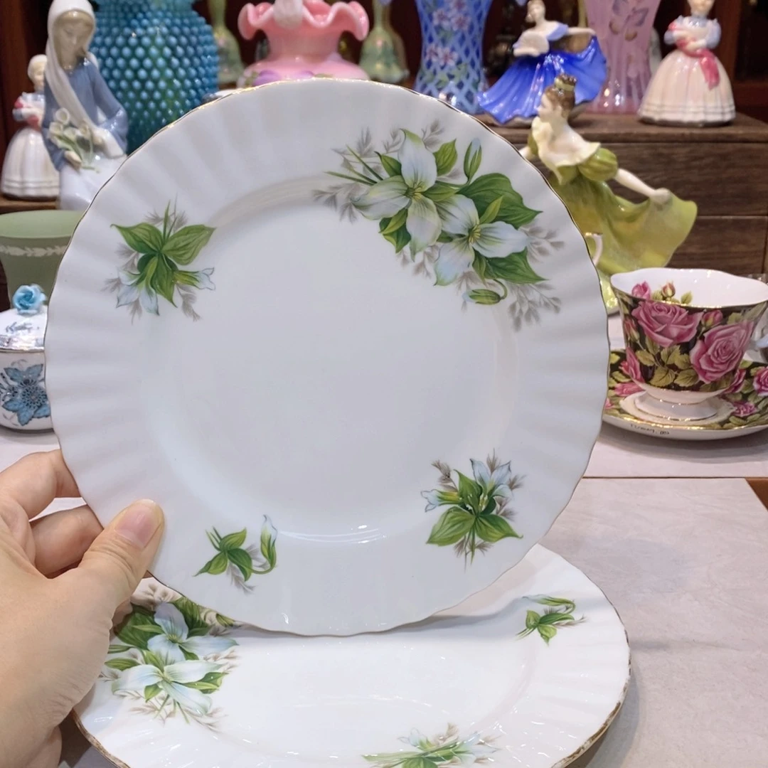 瓷片2个盘子20.5尺寸啊啊