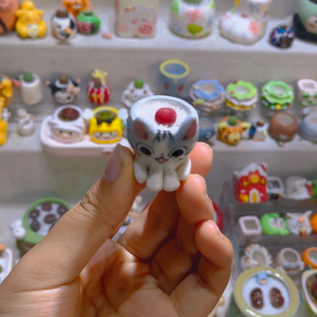 021高端多肉毛杂带盆土一套39